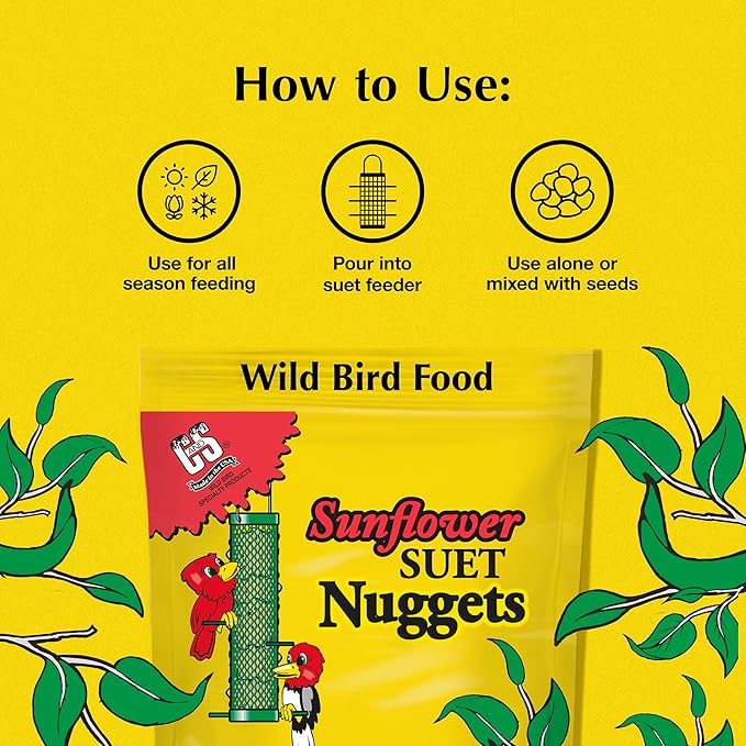 C&S Sunflower Suet Nuggets, Suet Nuggets for Wild Birds, 8 Lbs-PawvioPets