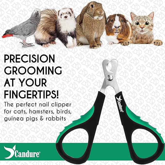 Candure Cat Nail Clippers for Cats, Rabbits, Hamsters, Birds - Stainless Steel Trimmer with Precise Angled Edges for Easy & Safe At-Home Grooming-PawvioPets