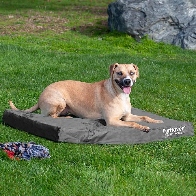 Furhaven Water-Resistant Cooling Gel Dog Bed for Large/Medium Dogs w/ Removable Washable Cover, For Dogs Up to 55 lbs - Indoor/Outdoor Logo Print Oxford Polycanvas Mattress - Stone Gray, Large-PawvioPets