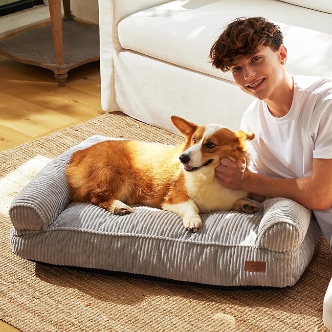 FUKUMARU Cute Dog Bed, Fluffy Dogs Couch with TPU Layer Keeping Lining Dry, Pet Sofa Medium Size Dog Easy to Care, Warm Cat Bed with Removable Zipper Cover, 36inch, Large, Light Grey-PawvioPets