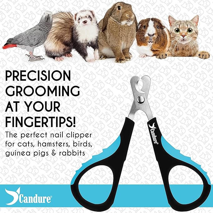 Candure Cat Nail Clipper Stainless Steel Cat Claw Trimmers for Rabbits, Guinea Pigs, Birds, Puppies, Kittens and Small Animals Pet Nail Clipper for Professional and Home Use (Blue)-PawvioPets