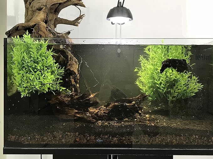 BEGONDIS Aquarium Decorations Fish Tank Artificial Green Water Plants Made of Soft Plastic-PawvioPets