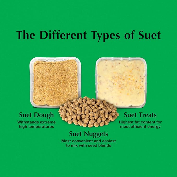 C&S Sunflower Suet Nuggets, Suet Nuggets for Wild Birds, 27 Ounces-PawvioPets