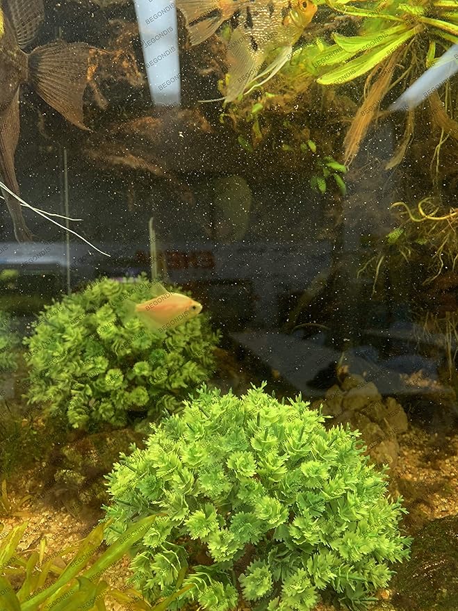 BEGONDIS 2Pcs Aquarium Decorations Fish Tank Artificial Green Water Plants Made of Soft Plastic-PawvioPets