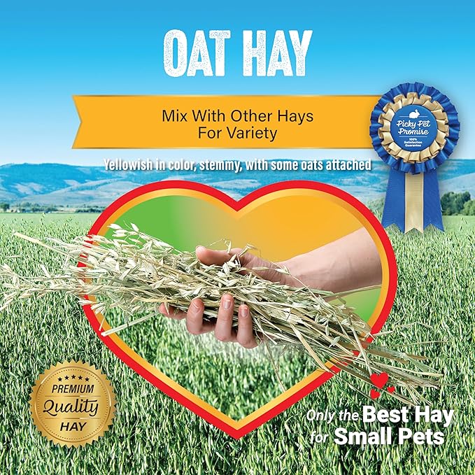 Small Pet Select Oat Hay Pet Food, 2 Lb.-PawvioPets