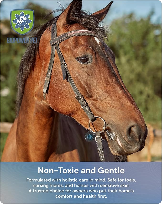 BioPower Natural Fly & Tick Repellent for Horses - Horse Shield Tag with 1-Year Bioresonance Protection – Chemical-Free, Waterproof Carbon Tag That Clips to Halter – Non-Toxic Pest Defense-PawvioPets