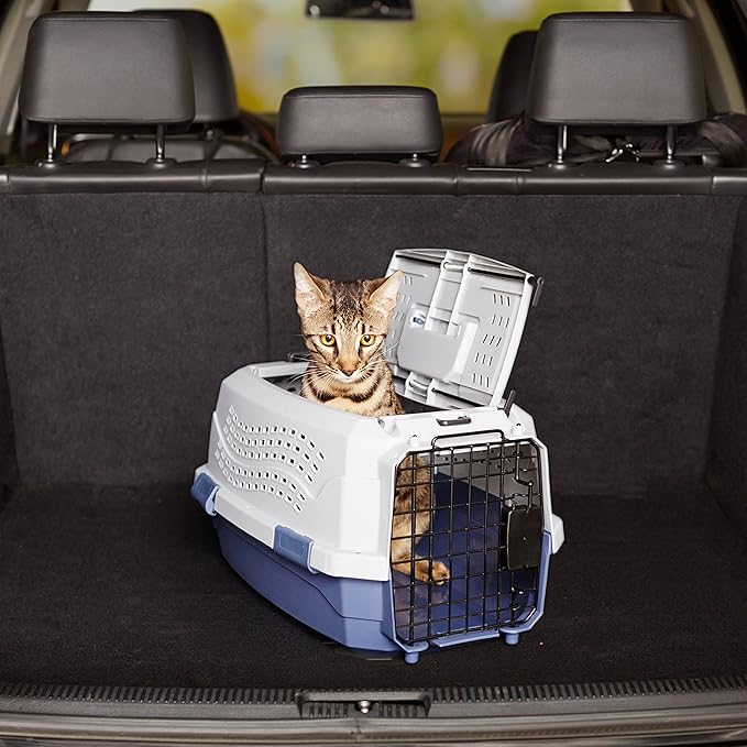 Amazon Basics 2-Door Top-Load Hard-Sided Cat Pet Travel Carrier, 19.0" L x 12.6" W x 10.0" H, Gray & Blue-PawvioPets