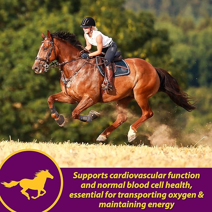 Farnam Horse Health Red Cell Pellets, Vitamin-Iron-Mineral Supplement for Horses, Helps Fill Important Nutritional Gaps in Horse's Diet, 4 lbs., 64-Day Supply-PawvioPets