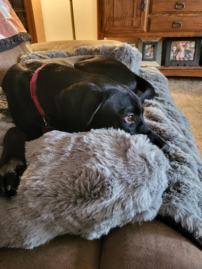 FUNNY FUZZY Pet Fluffy Fuzzy Couch Cover, Calming Washable Dog Bed Sofa Protector Pets Mat for Small Medium Dogs and Cats (Grey,33.45 × 28.35 × 5.51 in)-PawvioPets