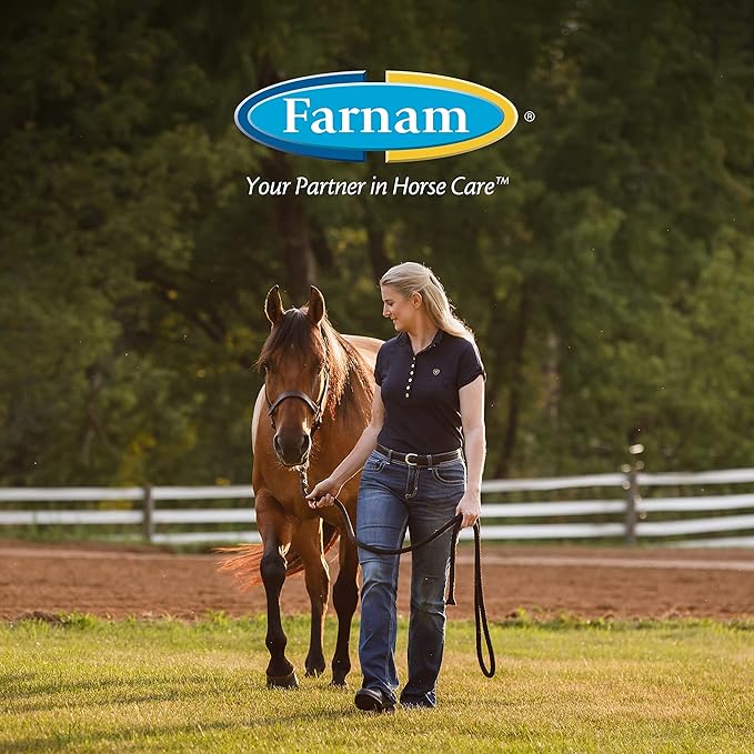 Farnam Endure Roll-On Fly Repellent for Horses, for Sensitive Areas, 3 Ounces-PawvioPets