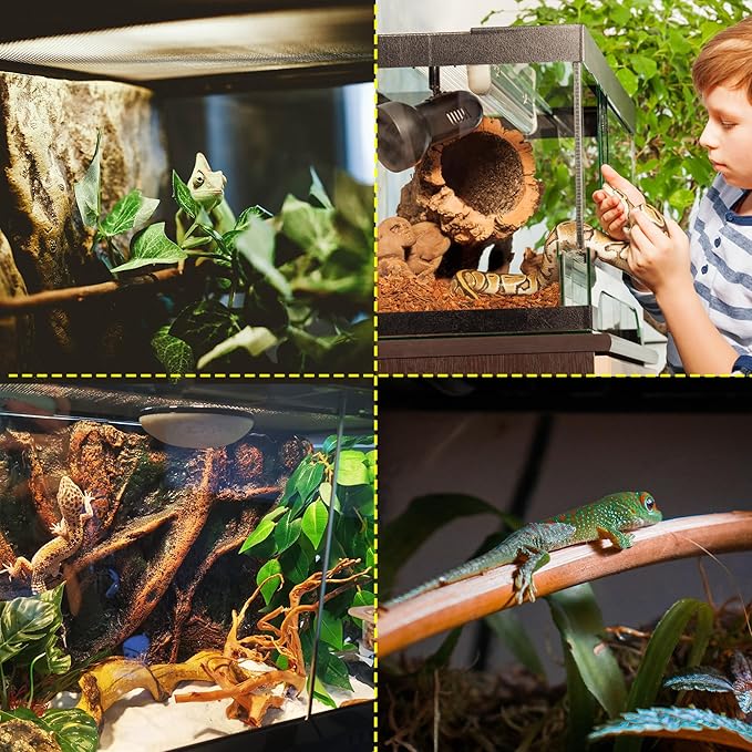 10 Gallon Professional Glass Terrarium 12"x12"x18" Durable Reptile Habitat Tank with Heat Resistant Aluminum Alloy Frame, Dual Front Swinging Doors for no Jam by Sand and Other Debris-PawvioPets
