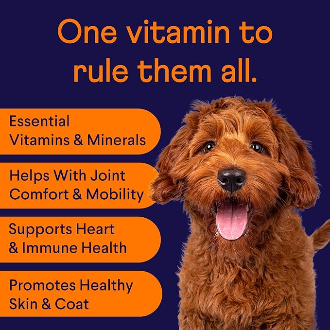 Finn All-in-1 Multivitamin for Dogs - Daily Multi with Probiotics, Omegas & Nutrients to Support Everyday Wellness - 90 Soft Chews-PawvioPets
