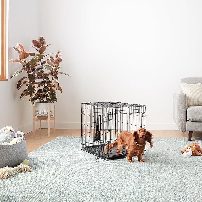 Amazon Basics Durable, Foldable Metal Wire Small Dog Crate with Tray, Single Door, 24 x 18 x 20 in, Black-PawvioPets