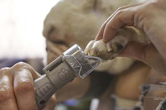 Dremel Pet Grooming Nail Guard Attachment, Ideal for Dog & Cat Nail Trimming, AT02-PGK-PawvioPets