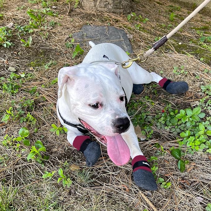 Double Dipped Thick Textured Waterproof Cotton Dog Socks | PawFlex Comfy Pawz Soft Indoor/Outdoor Pet Booties | Non-Slip Silicone Grip at Inner Wrist for No Twisting or Sliding Off| Adjustable Strap-PawvioPets