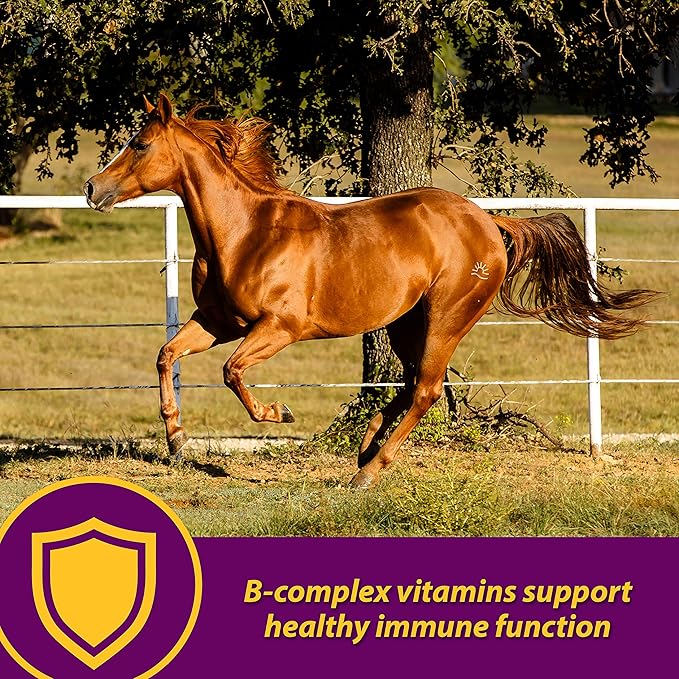 Farnam Horse Health Red Cell Pellets, Vitamin-Iron-Mineral Supplement for Horses, Helps Fill Important Nutritional Gaps in Horse's Diet, 4 lbs., 64-Day Supply-PawvioPets