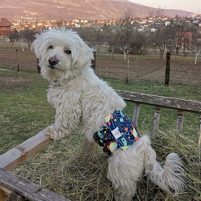 CuteBone Dog Diapers Male Washable Belly Band for Male Dogs Wraps 3pcs a Pack DM28M-PawvioPets