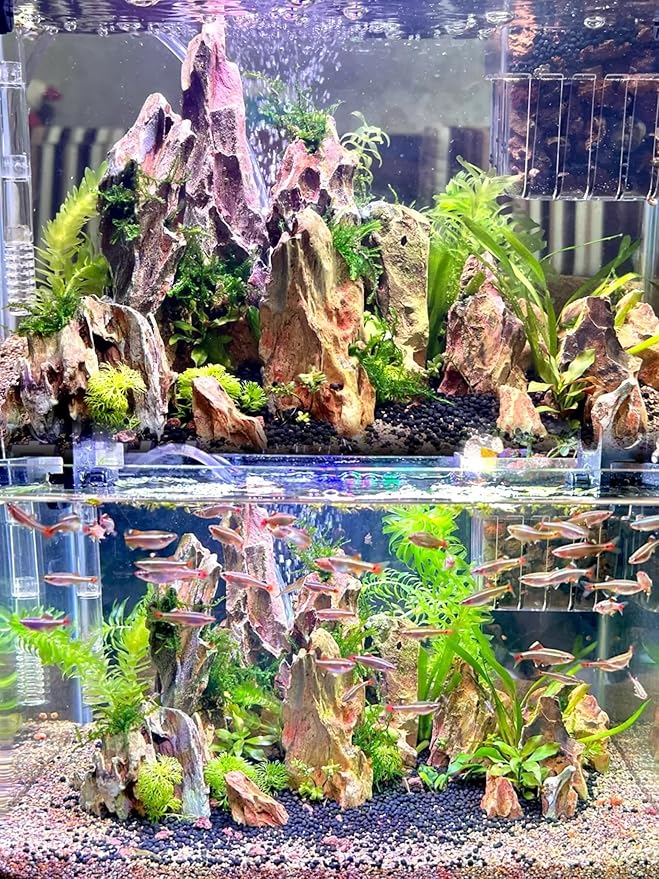 Dragon Rocks Aquarium Rock aquascaping Natural Stone Rocks Fish Tank Decor Rocks for Aquariums Landscaping Model Tank Decoration Aquarium Miniature -20Lb (2-8 inch)-PawvioPets