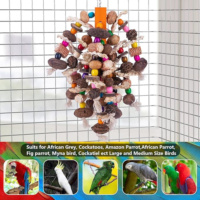 Deloky Large Parrot Bird Chewing Toys, Natural Nuts Corn Parrot Tearing Toy, Wooden Bird Cage Toy for African Grey, Macaws Cokatoos, Amazon Parrots and Other Large Birds-PawvioPets