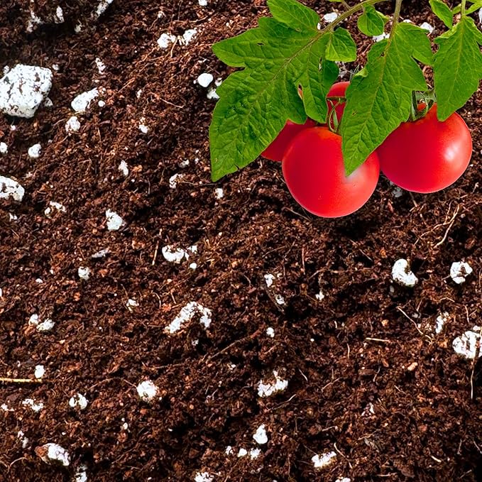 Coco Perlite - Coco Coir Perlite Mix - 70/30 Growing Media - Hydroponic, Indoor & Outdoor, Grow Bags & House Plants (5 quarts)-PawvioPets