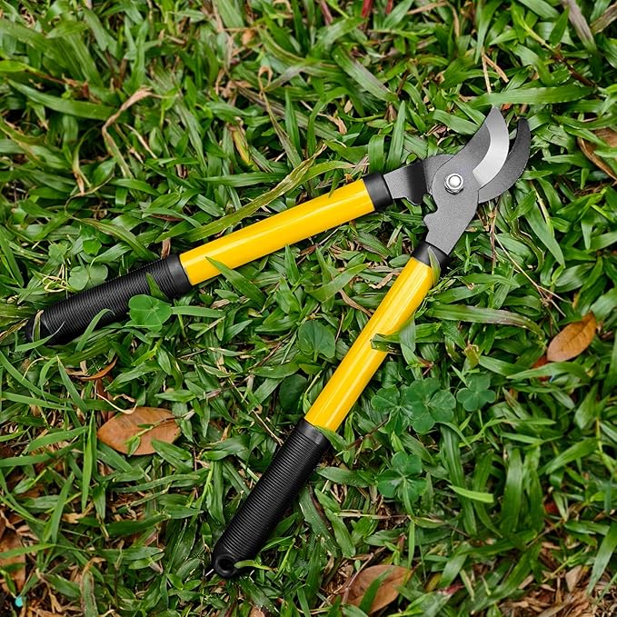 41-Piece Premium Gardening Tool Set, Stainless Steel Heavy Duty Gardening Tool Kit, with Non-Slip Rubber Grip, Storage Tote Bag, Outdoor Hand Tools, Ideal Gardening Gifts for All (Green/Grey)-PawvioPets