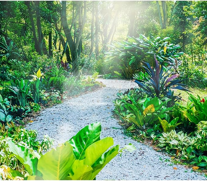 45lb White Cactus Pea Gravel Rocks,1/4 Inch Pebbles for Indoor Plants, Natural Succulent Rock and River Rocks Decorative for Aquariums, Vases, Outdoor Gardening, Top Dressing for Potted Plants-PawvioPets