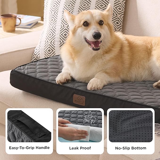 Bedsure Orthopedic Dog Bed for Medium Dogs - Flat Memory Foam Pet Mattress with Removable Washable Cover and Egg Crate Foam, Suitable for Pet Up to 35 lbs, 30x20x3 Inches, Black-PawvioPets