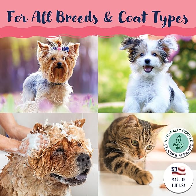 Bobbi Panter Cat Shampoo and Conditioner - Made in USA - All Natural 2-in-1 Formula for Reducing Shedding, Dander, Matting - Concentrated 10:1 for Professional Groomers - Watermelon Scent, 13 Oz-PawvioPets