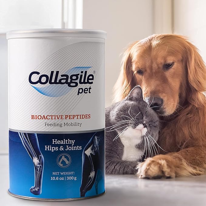 COLLAGILE® pet - Dog Hip & Joint Care | Effective Powder Supplement | Clinically Tested by Vets | 100% Natural | Tasteless and Odorless-PawvioPets