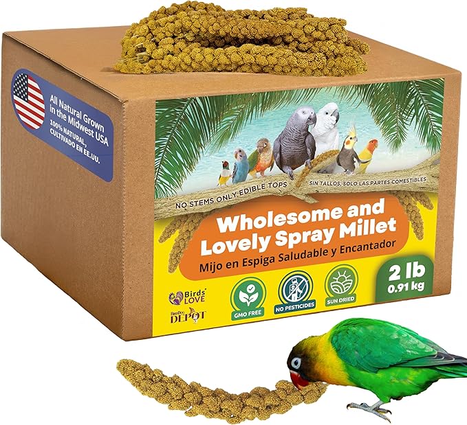 Birds LOVE Wholesome & Lovely Spray Millet Non-GMO for Birds Cockatiel Lovebird Parakeet Finch Canary All Parrots Healthy Treat - 2LBS-PawvioPets