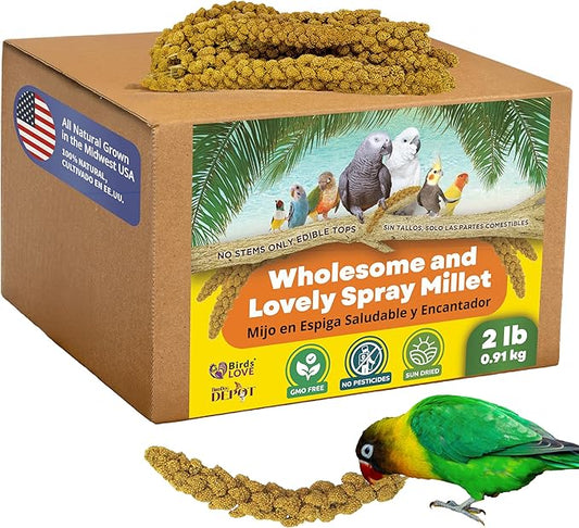 Birds LOVE Wholesome & Lovely Spray Millet Non-GMO for Birds Cockatiel Lovebird Parakeet Finch Canary All Parrots Healthy Treat - 2LBS-PawvioPets