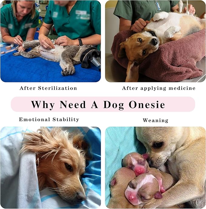 Comprehensive Post-Surgery Dog Recovery Suit: Premium Cotton Protective Wound Care Shirt for Puppies, Cats, and Small Pets - Ensuring Ultimate Comfort, Unrestricted Mobility M-PawvioPets