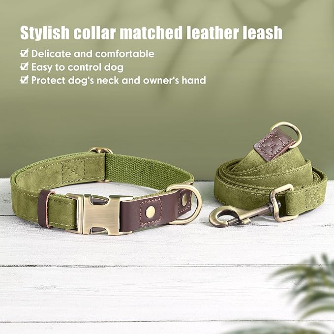 Didog Soft PU Leather Dog Collars for Medium Dogs,Classic Adjustable Dog Collars with Quick Release Metal Buckle,Easy Clean and Comfortable with Nylon Lining,Olive Green,M Neck 13-19"-PawvioPets