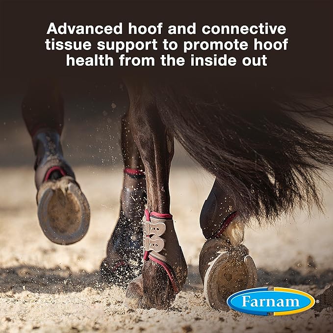 Farnam Horseshoer's Secret Extra Strength Hoof Supplements & Connective Tissue Supplement, Promotes Strong, Healthy Hooves, Tendon & ligaments, 7.5 lbs, 60 Day Supply-PawvioPets