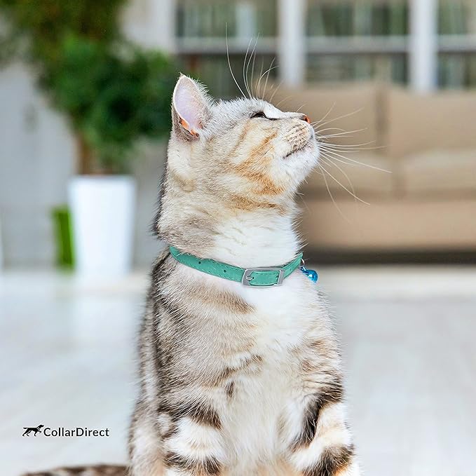CollarDirect Leather Cat Collar with Bell - Kitten Collar, Small and Big Cat Collar for Boy Cats, Girl Cats with Safety Elastic Strap (Neck Fit 6"-7", Mint Green)-PawvioPets