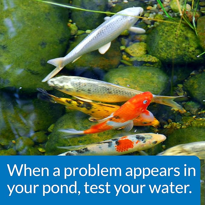 API POND MASTER TEST KIT Pond Water Test Kit 500-Test-PawvioPets