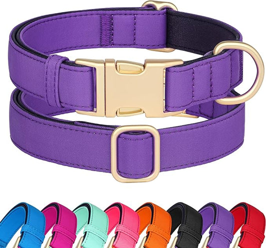 Didog Soft Padded Dog Collars for Small Dogs, Colorful and Durable Dog Collar with Quick Release Buckle, Light and Breathable for Daily Walking, Purple, S-PawvioPets