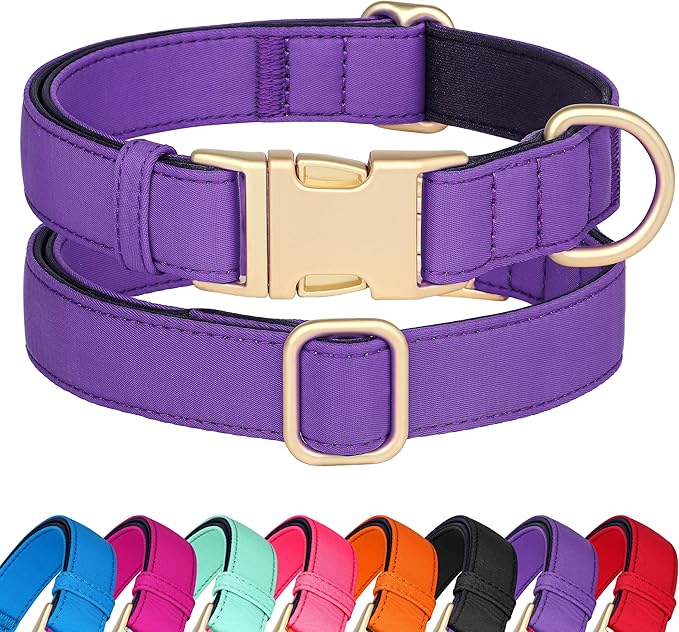 Didog Soft Padded Dog Collars for Medium Dogs, Colorful and Durable Dog Collar with Quick Release Buckle, Light and Breathable for Daily Walking, Purple, M-PawvioPets