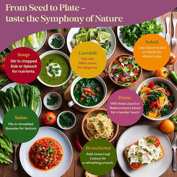 23 Lettuce & Salad Greens Seeds Variety Pack - 25,000+ Non-GMO Heirloom Greens Seeds for Planting Lettuce Indoor & Outdoor: Arugula, Mizuna, Kale, Spinach, Swiss Chard, Mache & More Lettuce Seeds-PawvioPets