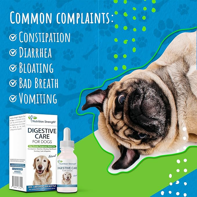 Digestive Care for Dogs, Natural Constipation Relief for Dogs and Puppies & Support for Diarrhea, Bloating, Bad Breath, Vomiting, Lack of Appetite, 60 Milliliters-PawvioPets