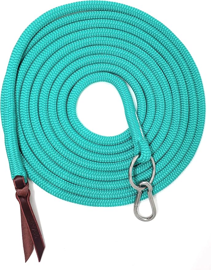 22' Long Line with SS O Ring and Carabiner (Turquoise)-PawvioPets