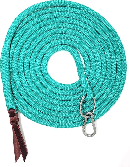 22' Long Line with SS O Ring and Carabiner (Turquoise)-PawvioPets