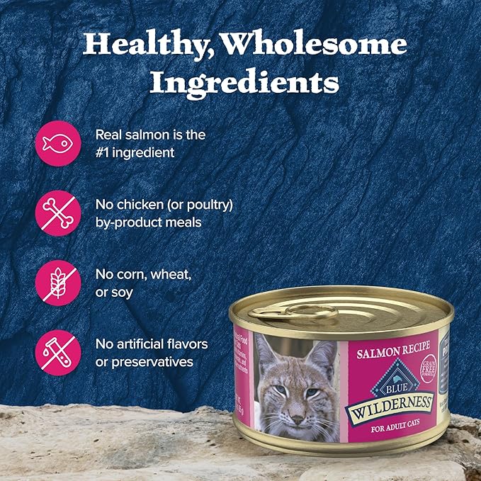 Blue Buffalo Wilderness Natural High-Protein Grain-Free Wet Food for Adult Cats, Salmon Paté, 3-oz. Cans, 24 Count-PawvioPets