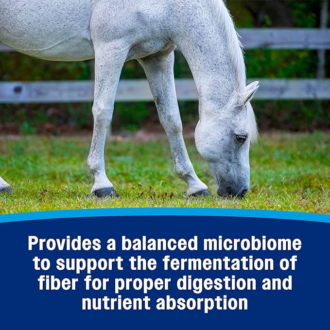 Farnam Hindgut Stabilizer Pellets, Daily Digestive & Immune Supplement for Horses Helps Maintain a Balanced Microbiome for Optimal Digestion-PawvioPets