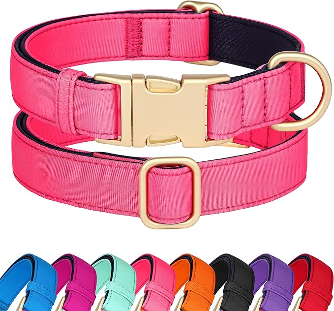 Didog Soft Padded Dog Collar for Large Dogs, Colorful and Durable Pet Collar with Quick Release Buckle, Light and Breathable for Daily Walking, Pink, L-PawvioPets