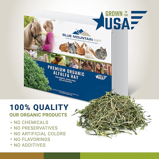Blue Mountain Hay High-Altitude Hay - Organic Alfalfa, 5lb - High Protein, Fiber & Mineral-Rich - Soft, Leafy, High Leaf Retention - Ideal for Goats, Rabbits, Guinea Pigs & Other Small Animals-PawvioPets