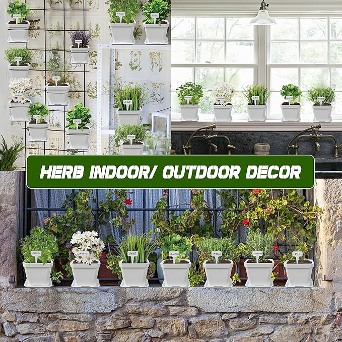 10 Herb Seeds Garden Starter Grow Kit with White Pots, Markers, Nutritional Soil, Watering, Herb Clipper, Complete Indoor Potted Plant Growing Set for Kitchen DIY-PawvioPets