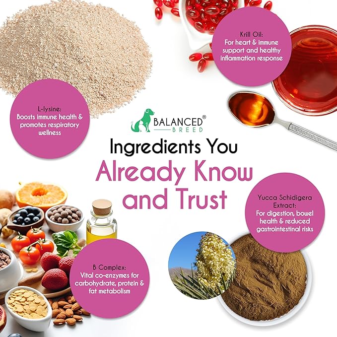 Balanced Breed L-Lysine Cats Immune Support Soft Chews Made in USA Vet-Pharmacist Approved Seasonal Allergy Relief Cat Vitamins Indoor Cats Supplements Krill Oil Asthma Relief Cat Lysine Treats NonGMO-PawvioPets