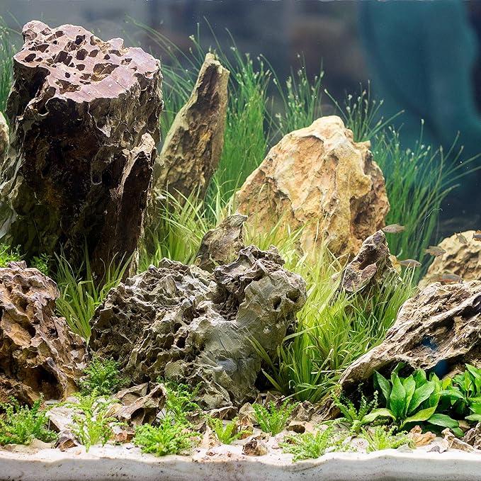 2-4 Inches Natural Dragon Stone 20 PCS Aquarium Rocks for Aquascaping, Aquarium Landscaping, Terrariums, Fish Tank Decoration, Vivariums, Paludarium, Reptile and Amphibian Enclosures-PawvioPets