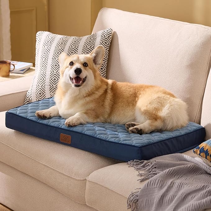 Bedsure Orthopedic Dog Bed for Medium Dogs - Flat Memory Foam Pet Mattress with Removable Washable Cover and Egg Crate Foam, Suitable for Pet Up to 35 lbs, 30x20x3 Inches, Navy-PawvioPets